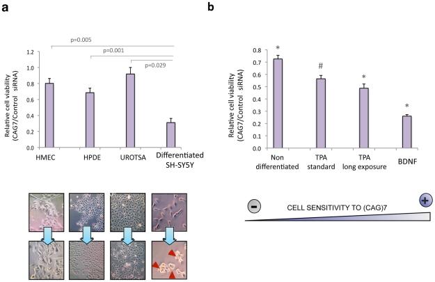 https://cdn.ncbi.nlm.nih.gov/pmc/blobs/6cc7/3285580/6c2e893705f6/pgen.1002481.g005.jpg