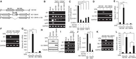https://cdn.ncbi.nlm.nih.gov/pmc/blobs/6cc7/4681346/4b2f30510107/1501164-F1.jpg