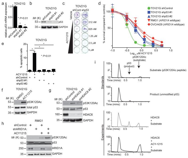 https://cdn.ncbi.nlm.nih.gov/pmc/blobs/6cc7/5541905/053af91ab20d/nihms887916f5.jpg
