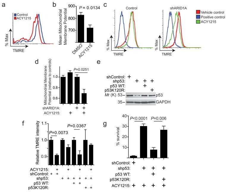 https://cdn.ncbi.nlm.nih.gov/pmc/blobs/6cc7/5541905/46b527fed0b2/nihms887916f7.jpg