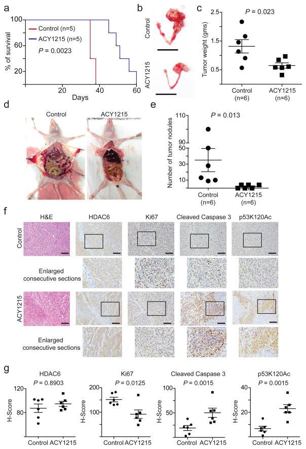 https://cdn.ncbi.nlm.nih.gov/pmc/blobs/6cc7/5541905/54947d978df3/nihms887916f8.jpg