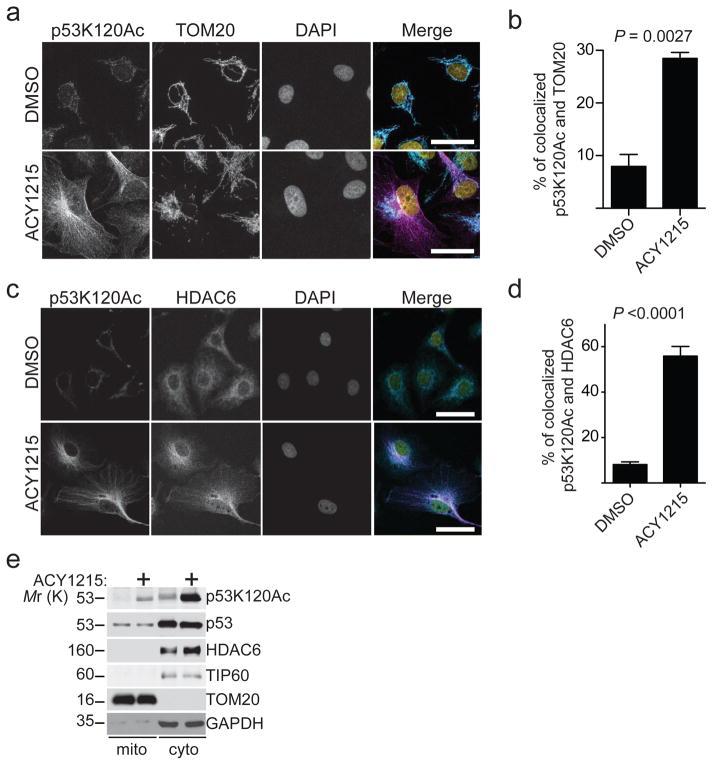 https://cdn.ncbi.nlm.nih.gov/pmc/blobs/6cc7/5541905/9198f67991fa/nihms887916f6.jpg