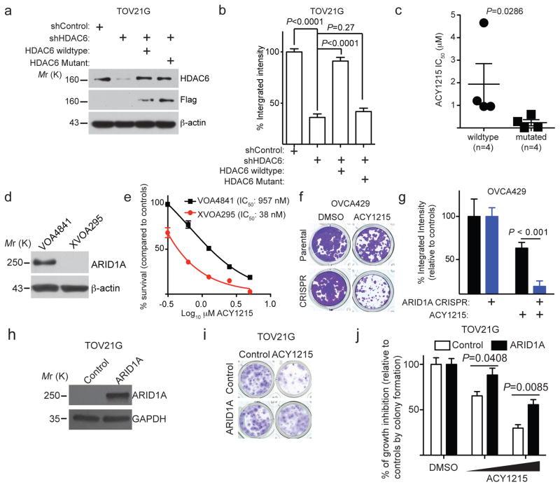 https://cdn.ncbi.nlm.nih.gov/pmc/blobs/6cc7/5541905/c9de84df5cd8/nihms887916f2.jpg
