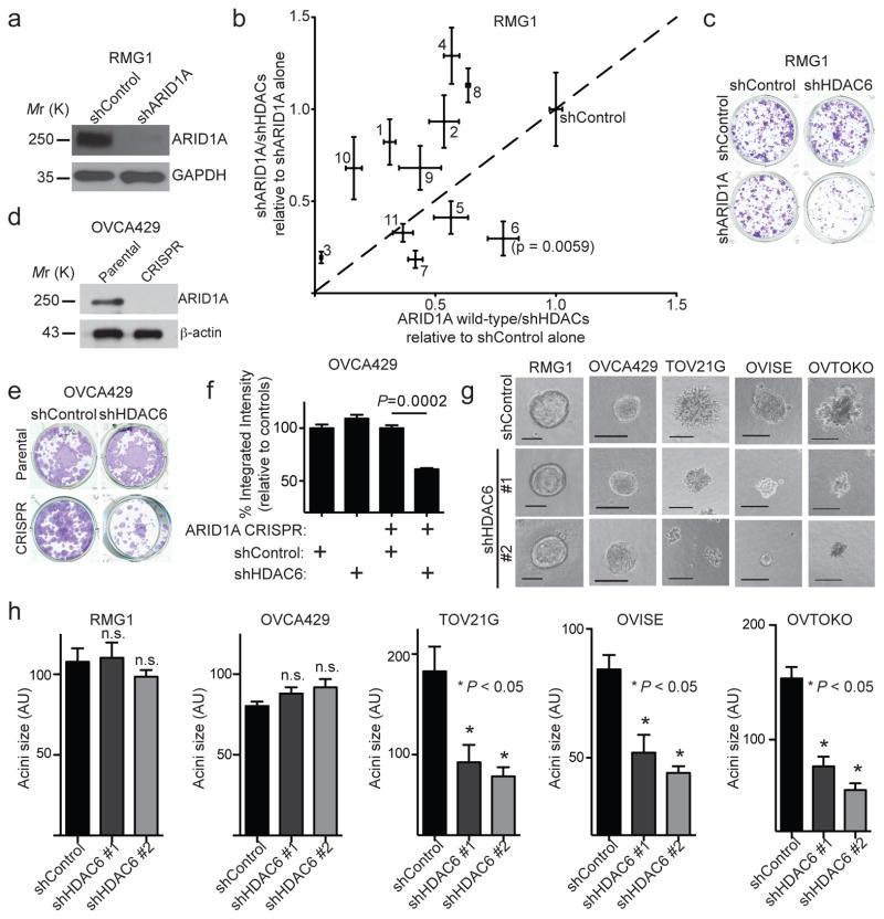 https://cdn.ncbi.nlm.nih.gov/pmc/blobs/6cc7/5541905/dfbc95585a34/nihms887916f1.jpg