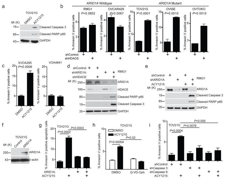 https://cdn.ncbi.nlm.nih.gov/pmc/blobs/6cc7/5541905/e14139ef03d3/nihms887916f3.jpg