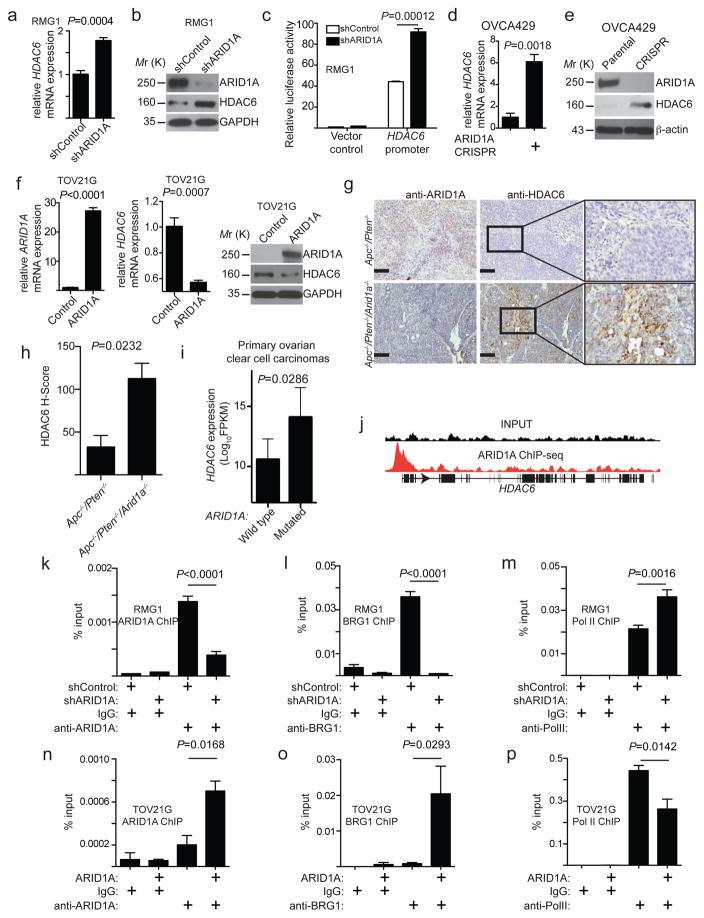 https://cdn.ncbi.nlm.nih.gov/pmc/blobs/6cc7/5541905/f9f4849718f0/nihms887916f4.jpg