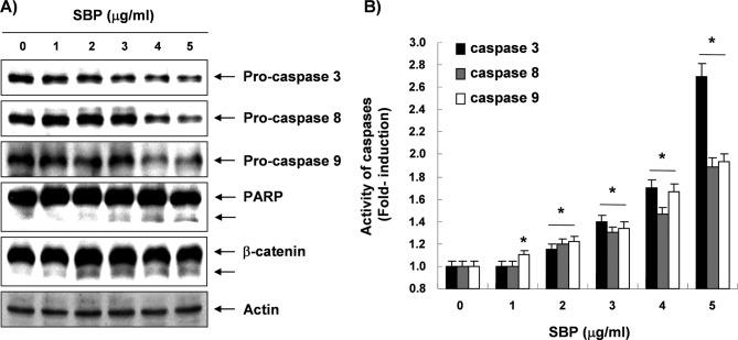 https://cdn.ncbi.nlm.nih.gov/pmc/blobs/6cc8/3584623/6e47a3f495e1/IJO-40-04-1210-g03.jpg