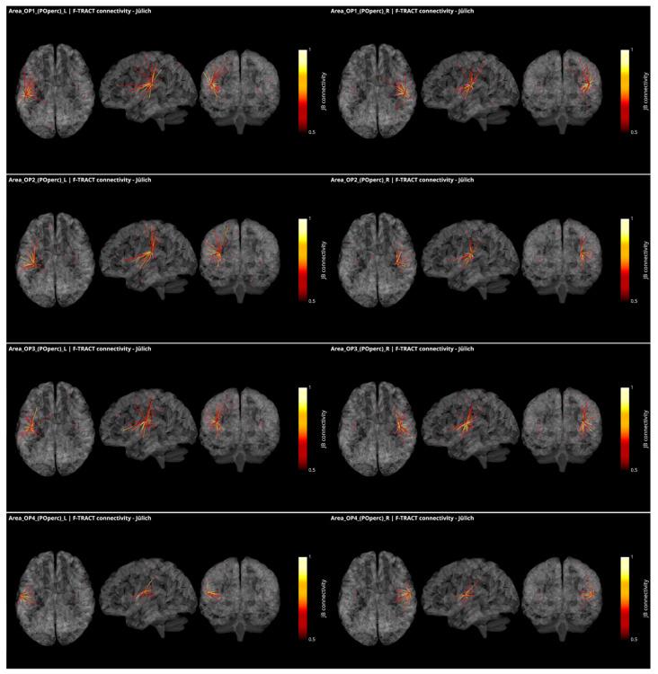 https://cdn.ncbi.nlm.nih.gov/pmc/blobs/6cc9/8946618/2126f1a539cb/brainsci-12-00334-g003.jpg
