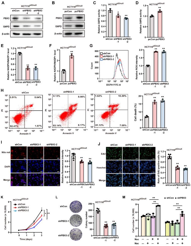 https://cdn.ncbi.nlm.nih.gov/pmc/blobs/6cca/10535713/7177c2094ef4/ijbsv19p4525g004.jpg