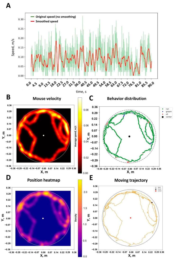 https://cdn.ncbi.nlm.nih.gov/pmc/blobs/6ccb/12346443/69cb6cc09a33/ijms-26-07180-g004.jpg