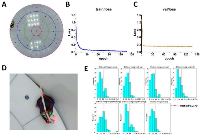 https://cdn.ncbi.nlm.nih.gov/pmc/blobs/6ccb/12346443/c4eed697592b/ijms-26-07180-g002.jpg