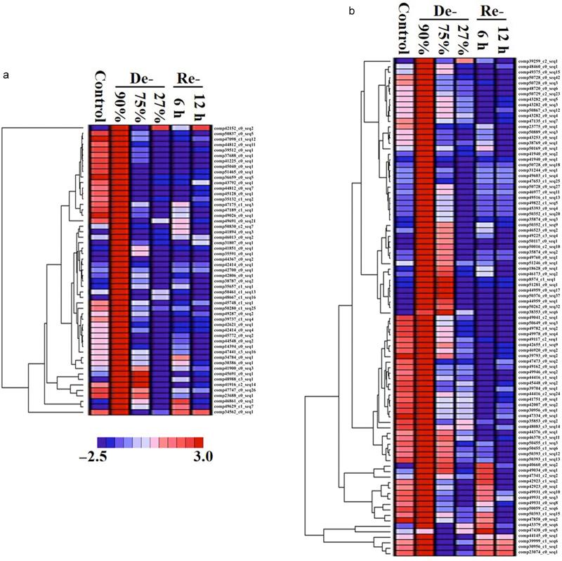 https://cdn.ncbi.nlm.nih.gov/pmc/blobs/6ccc/4595987/15e4c48520a5/hortres201534-f8.jpg