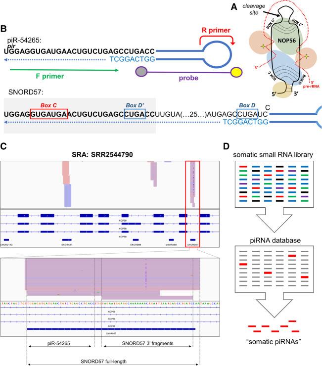 https://cdn.ncbi.nlm.nih.gov/pmc/blobs/6ccf/7962485/ac95ec95c4e7/403f01.jpg