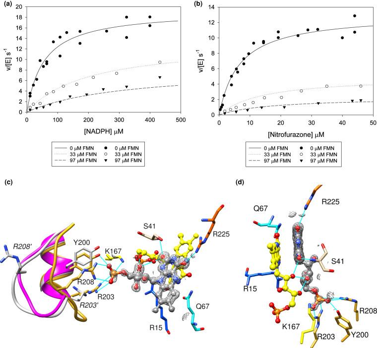 https://cdn.ncbi.nlm.nih.gov/pmc/blobs/6ccf/8286842/ec37a8cdb93d/BCJ-478-2601-g0008.jpg