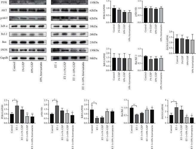 https://cdn.ncbi.nlm.nih.gov/pmc/blobs/6cd0/9173997/bf8a4e01705a/ECAM2022-9485463.005.jpg