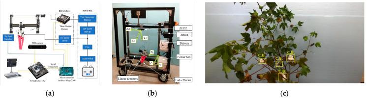 https://cdn.ncbi.nlm.nih.gov/pmc/blobs/6cd2/12115130/4846604b63e9/plants-14-01481-g010.jpg