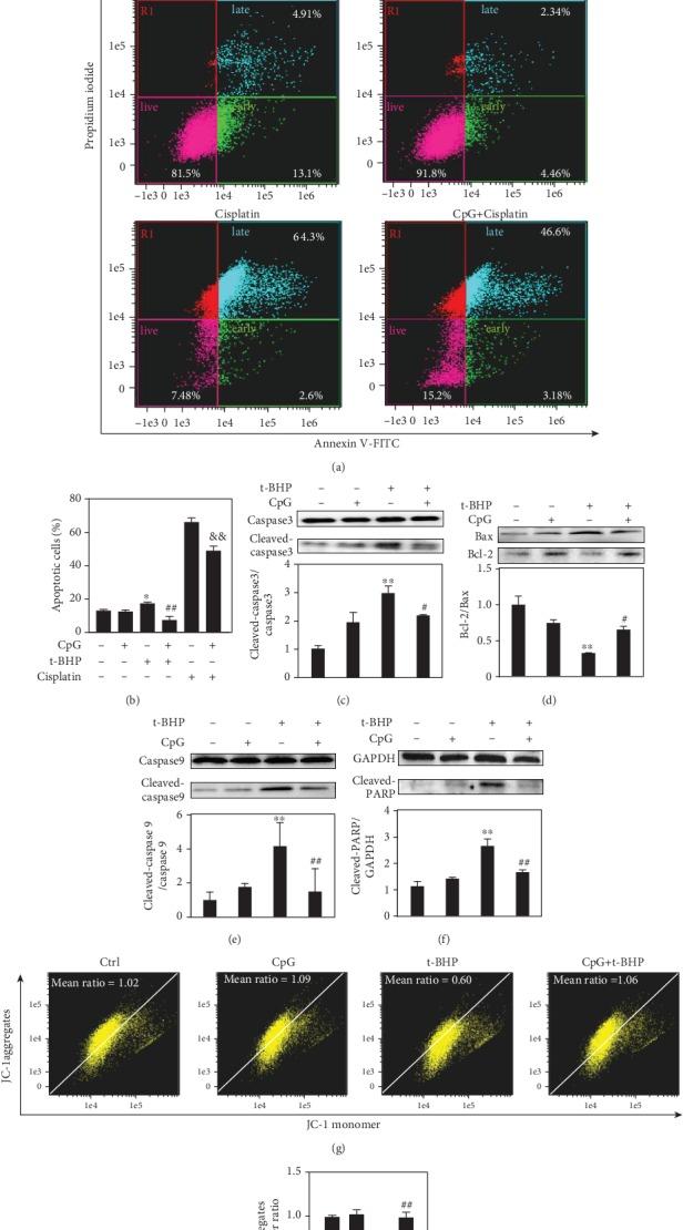 https://cdn.ncbi.nlm.nih.gov/pmc/blobs/6cd4/7232733/550518e1d671/OMCL2020-1714352.004.jpg