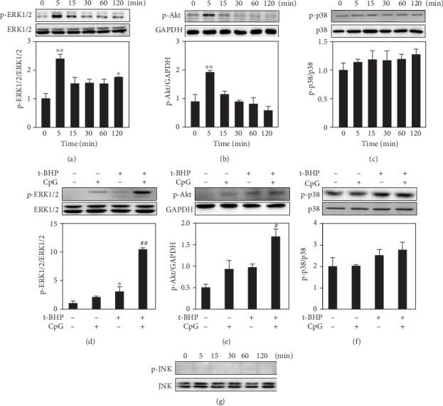 https://cdn.ncbi.nlm.nih.gov/pmc/blobs/6cd4/7232733/99d35aa544a8/OMCL2020-1714352.005.jpg