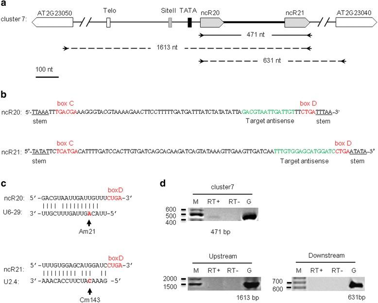 https://cdn.ncbi.nlm.nih.gov/pmc/blobs/6cd5/4660826/3f16967e1d5f/12864_2015_2221_Fig2_HTML.jpg