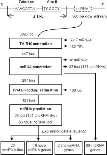 https://cdn.ncbi.nlm.nih.gov/pmc/blobs/6cd5/4660826/60ccda920d7a/12864_2015_2221_Fig1_HTML.jpg