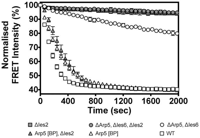 https://cdn.ncbi.nlm.nih.gov/pmc/blobs/6cd8/5041457/03f140c56012/gkw509fig4.jpg