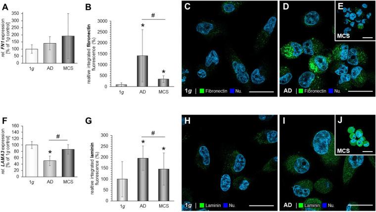 https://cdn.ncbi.nlm.nih.gov/pmc/blobs/6cda/8278480/00ea418d902c/fcell-09-672098-g003.jpg