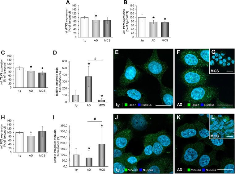 https://cdn.ncbi.nlm.nih.gov/pmc/blobs/6cda/8278480/9fa34edc751c/fcell-09-672098-g005.jpg