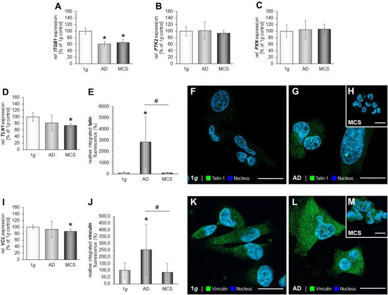 https://cdn.ncbi.nlm.nih.gov/pmc/blobs/6cda/8278480/aeae14982da7/fcell-09-672098-g004.jpg