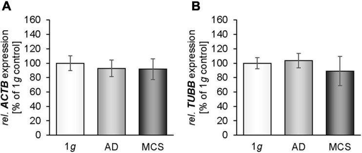 https://cdn.ncbi.nlm.nih.gov/pmc/blobs/6cda/8278480/fb453249a0e4/fcell-09-672098-g002.jpg