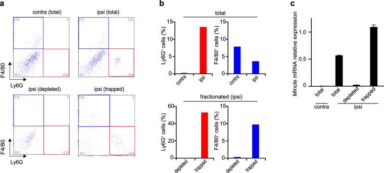https://cdn.ncbi.nlm.nih.gov/pmc/blobs/6cdb/6351622/39cbb1fe6f8f/41598_2018_37318_Fig3_HTML.jpg