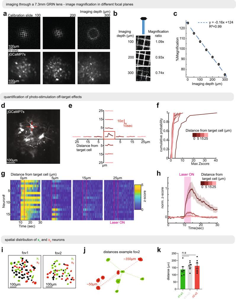 https://cdn.ncbi.nlm.nih.gov/pmc/blobs/6cde/11499281/647bc4b50726/41586_2024_7915_Fig11_ESM.jpg