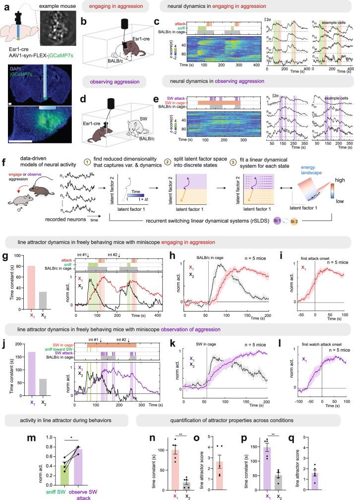 https://cdn.ncbi.nlm.nih.gov/pmc/blobs/6cde/11499281/75334e6b7ddb/41586_2024_7915_Fig6_ESM.jpg