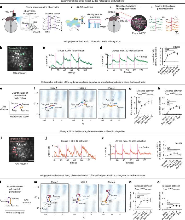 https://cdn.ncbi.nlm.nih.gov/pmc/blobs/6cde/11499281/ffc777156f87/41586_2024_7915_Fig2_HTML.jpg