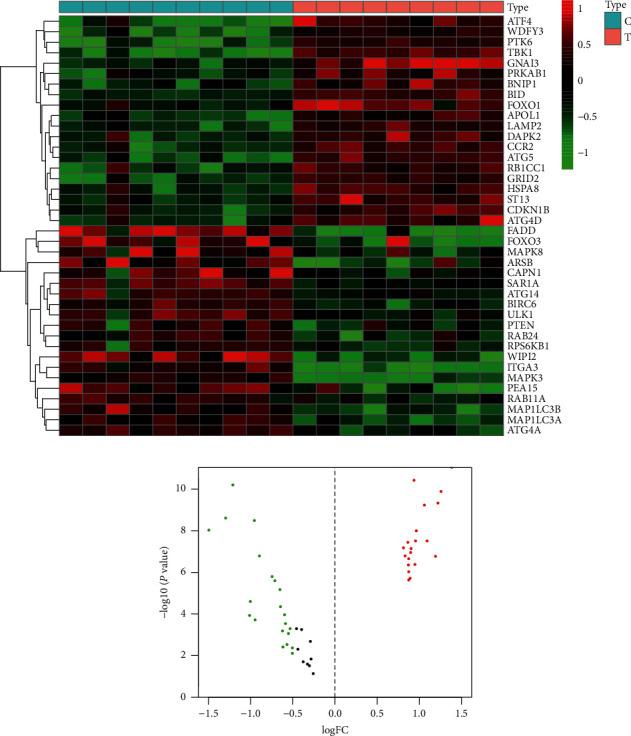 https://cdn.ncbi.nlm.nih.gov/pmc/blobs/6cde/8270709/1cc6a05cde02/JHE2021-6402206.002.jpg