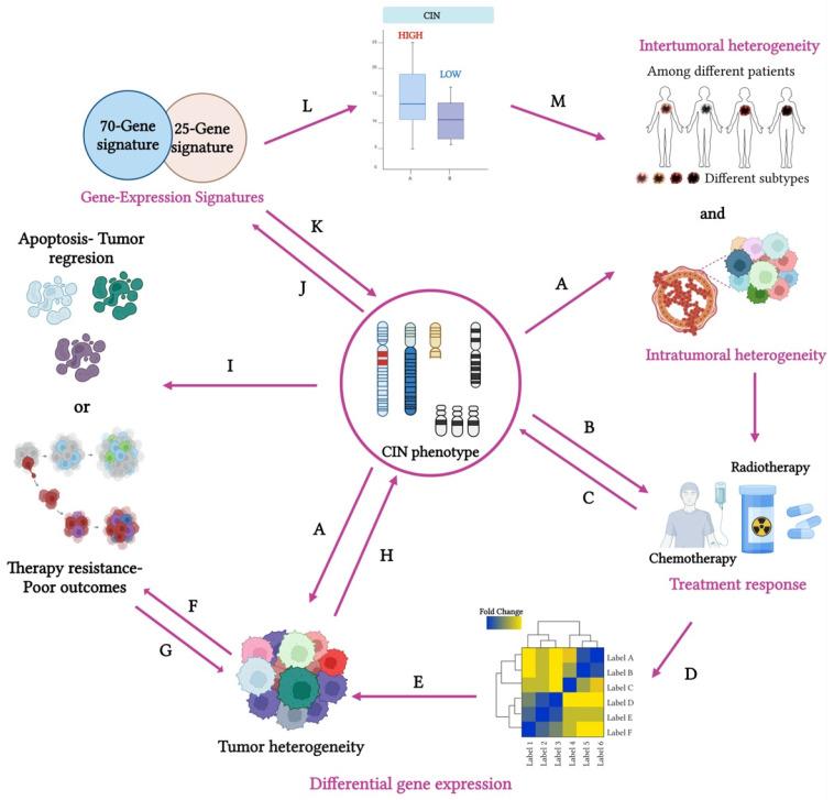 https://cdn.ncbi.nlm.nih.gov/pmc/blobs/6ce0/11988187/b662470e664a/cancers-17-01222-g003.jpg