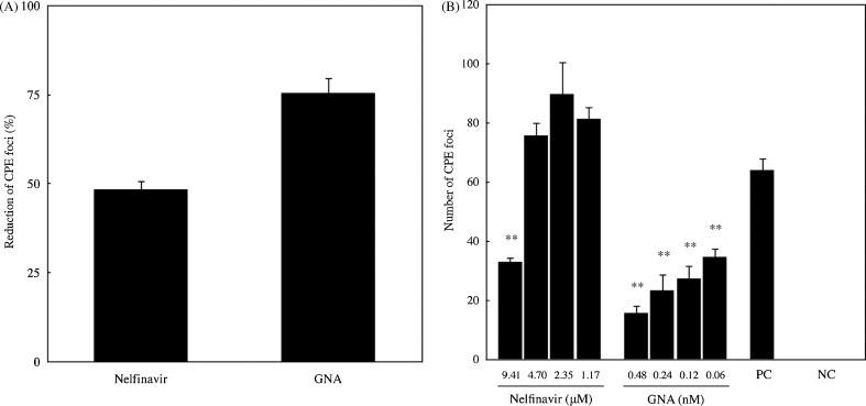 https://cdn.ncbi.nlm.nih.gov/pmc/blobs/6ce0/7114315/58869bbe7e70/gr3.jpg