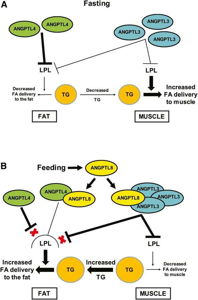 https://cdn.ncbi.nlm.nih.gov/pmc/blobs/6ce0/7397750/5f66c5f09eaf/1203fig9.jpg