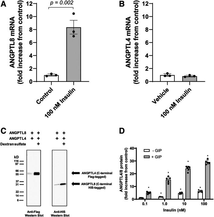 https://cdn.ncbi.nlm.nih.gov/pmc/blobs/6ce0/7397750/766401cc9a3a/1203fig8.jpg