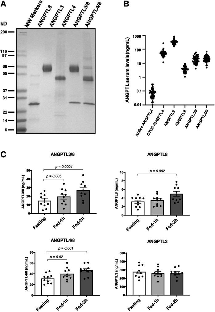 https://cdn.ncbi.nlm.nih.gov/pmc/blobs/6ce0/7397750/ac67bac37c2f/1203fig2.jpg