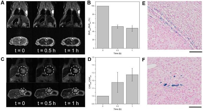 https://cdn.ncbi.nlm.nih.gov/pmc/blobs/6ce0/8203530/56436a19b949/41061_2020_302_Fig9_HTML.jpg