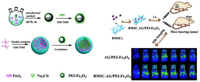 https://cdn.ncbi.nlm.nih.gov/pmc/blobs/6ce0/8203530/d29f1e808b15/41061_2020_302_Fig5_HTML.jpg