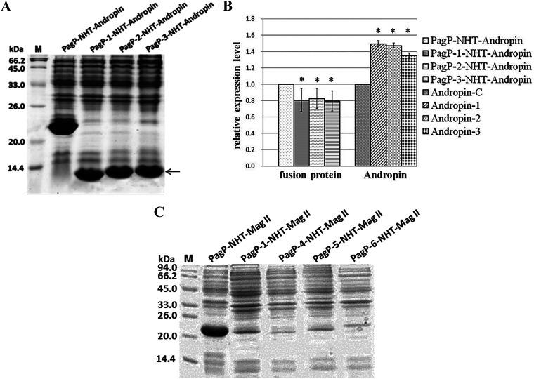 https://cdn.ncbi.nlm.nih.gov/pmc/blobs/6ce2/10269538/9edecdd23c54/spectrum.03803-22-f006.jpg