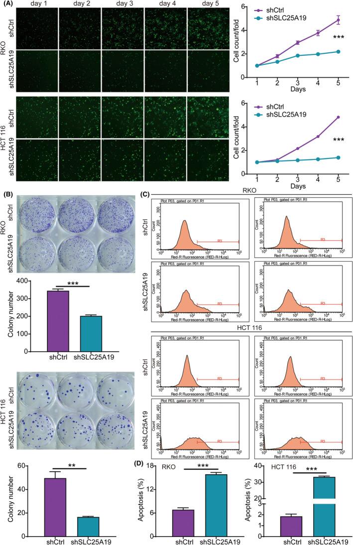 https://cdn.ncbi.nlm.nih.gov/pmc/blobs/6ce5/11440145/2eb412af995b/CAM4-13-e70253-g003.jpg