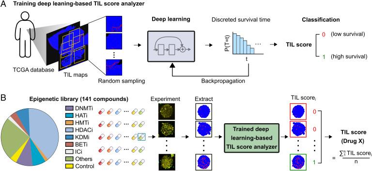 https://cdn.ncbi.nlm.nih.gov/pmc/blobs/6ce6/9674214/32367db1fddd/pnas.2214569119fig03.jpg