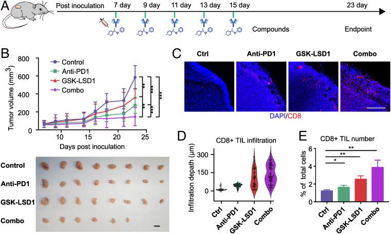 https://cdn.ncbi.nlm.nih.gov/pmc/blobs/6ce6/9674214/b4c938b1c775/pnas.2214569119fig05.jpg