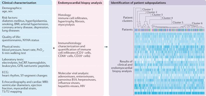 https://cdn.ncbi.nlm.nih.gov/pmc/blobs/6ce8/7548534/5dc19eebdb3c/41569_2020_435_Fig6_HTML.jpg