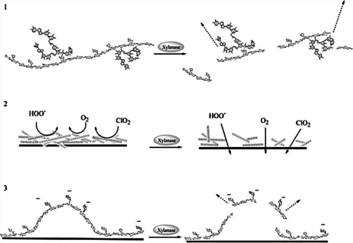 https://cdn.ncbi.nlm.nih.gov/pmc/blobs/6ceb/10867044/bebe6b8b1efd/253_2024_13027_Fig1_HTML.jpg