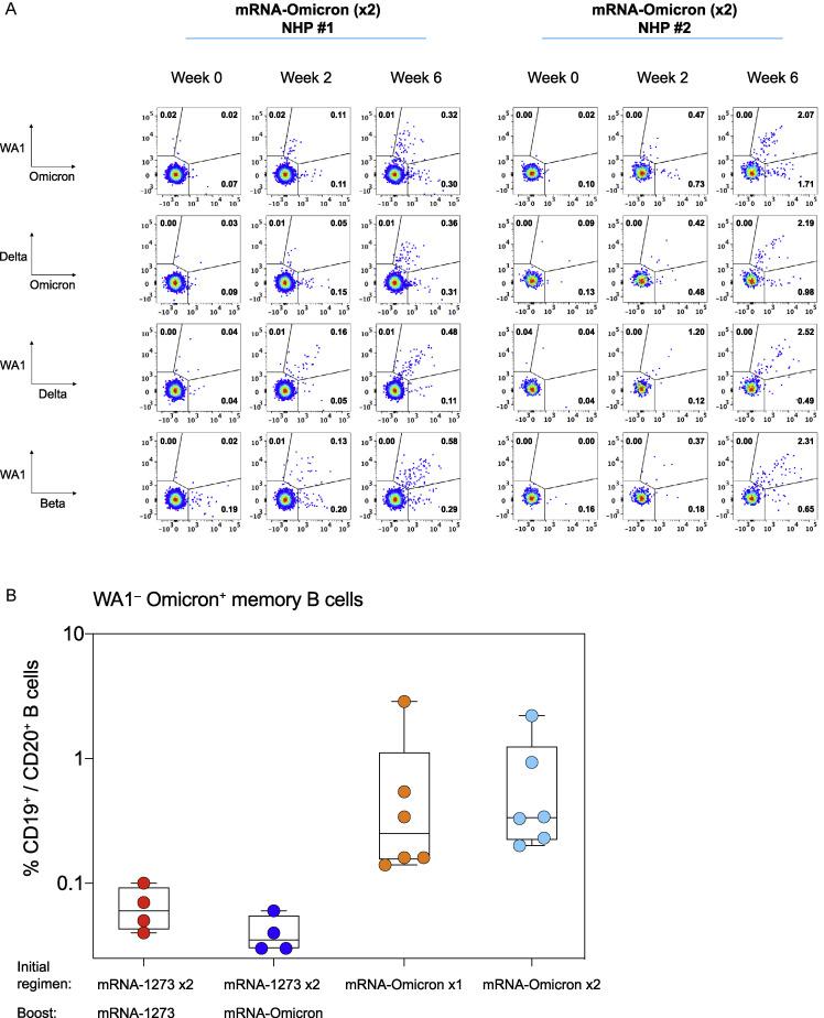 https://cdn.ncbi.nlm.nih.gov/pmc/blobs/6ceb/8947944/0481237684d6/figs5_lrg.jpg
