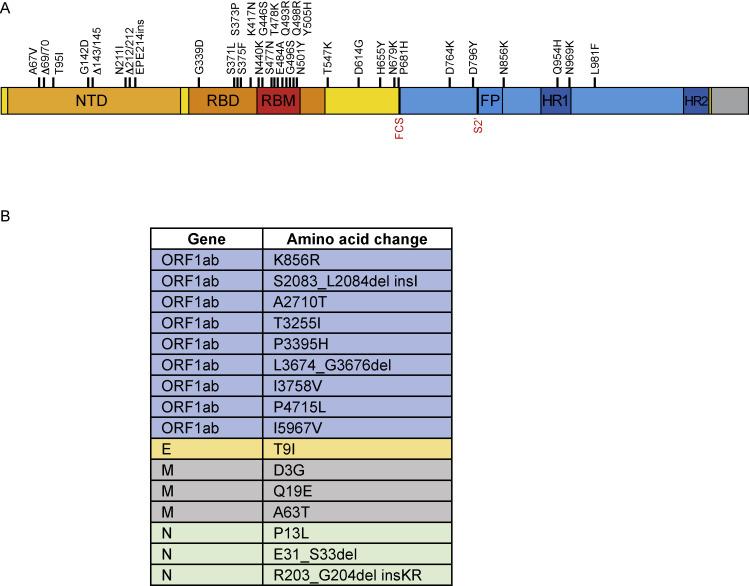 https://cdn.ncbi.nlm.nih.gov/pmc/blobs/6ceb/8947944/07b2ab411265/figs10_lrg.jpg
