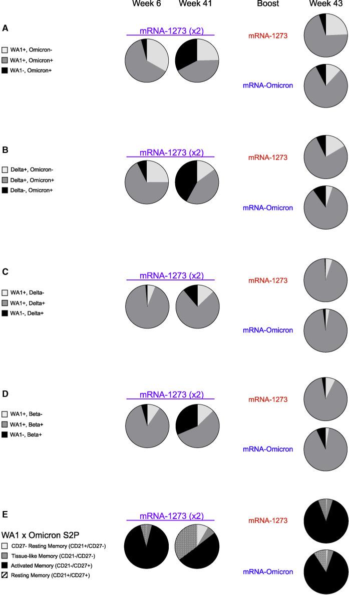 https://cdn.ncbi.nlm.nih.gov/pmc/blobs/6ceb/8947944/1046d58b7dce/gr4_lrg.jpg